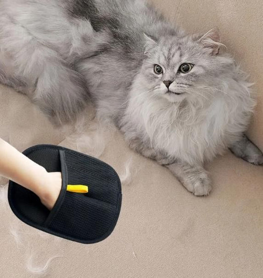 Branmart™ Pet Hair Removal Gloves