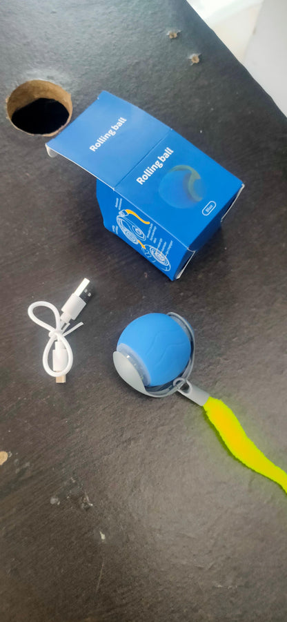 Branmart™ Rolling Ball Pet Toy