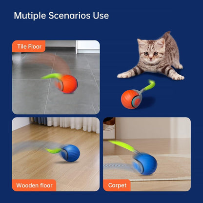 Branmart™ Rolling Ball Pet Toy